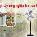 Quạt cây công nghiệp loại nào tốt